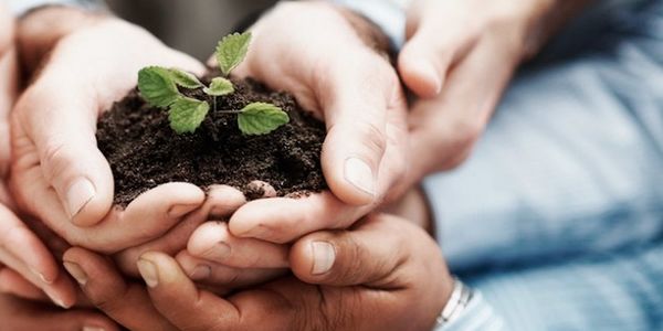 people-development~-~600w